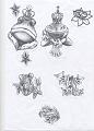 Tartarughe 015